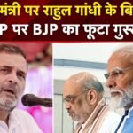 Rahul Gandhi Comment On PM Modi: ‘आपका PM…’ रायबरेली में राहुल गांधी के बयान…